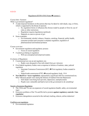 government regulation research paper