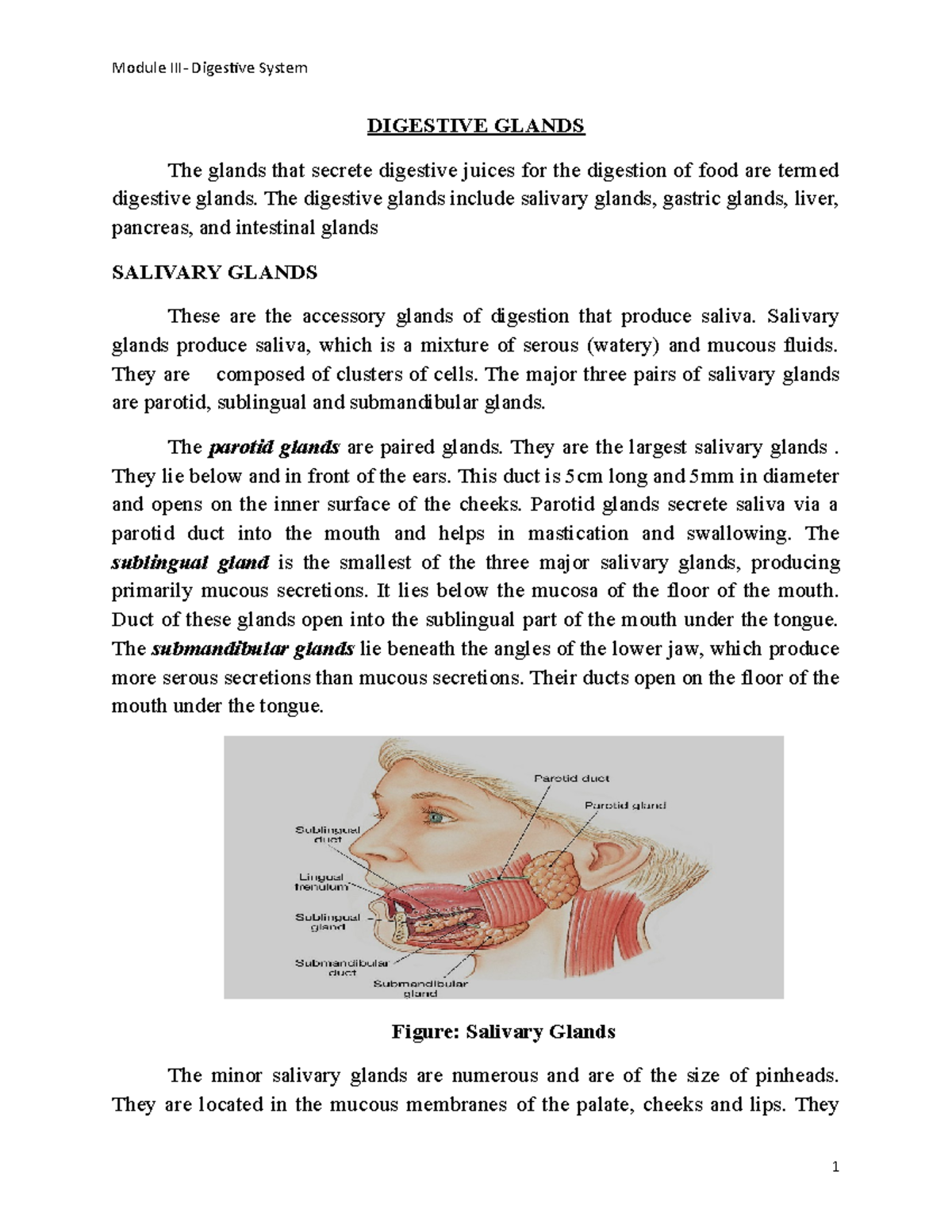 Digestive Glands Physiology notes DIGESTIVE GLANDS The glands that