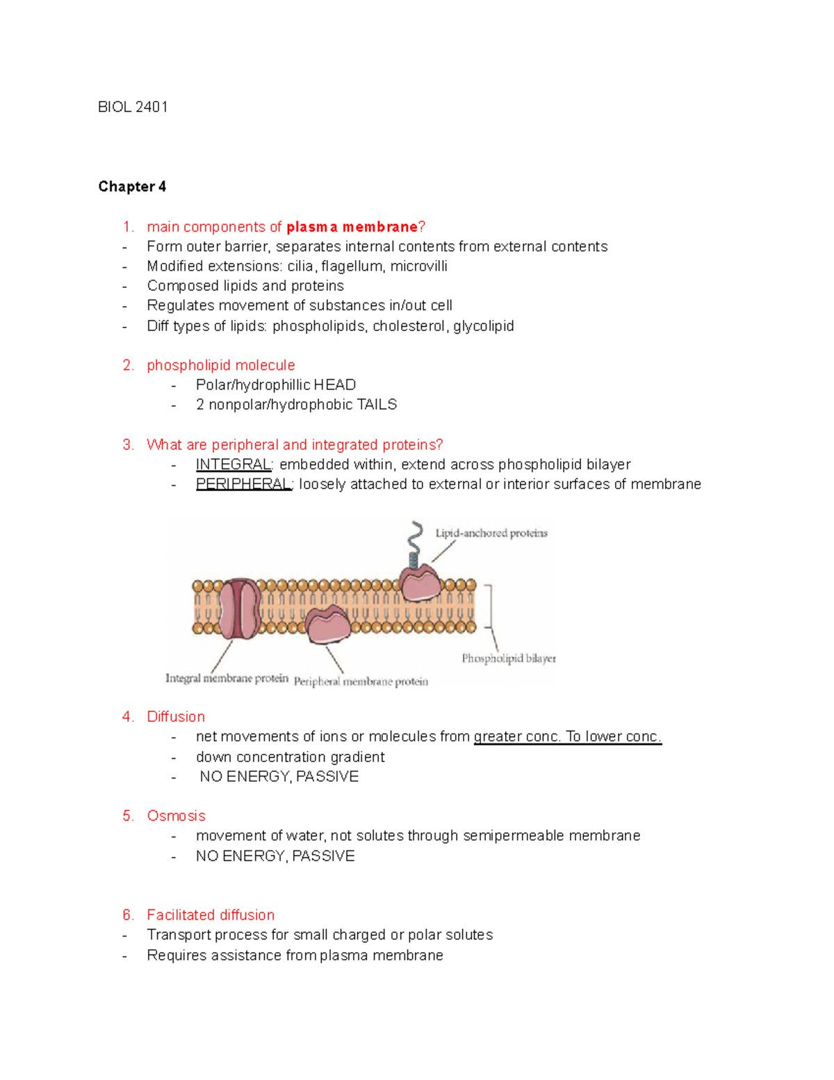 Ch 4 BIOL 2401 - review notes - BIOL 2401 Chapter 4 main components of ...