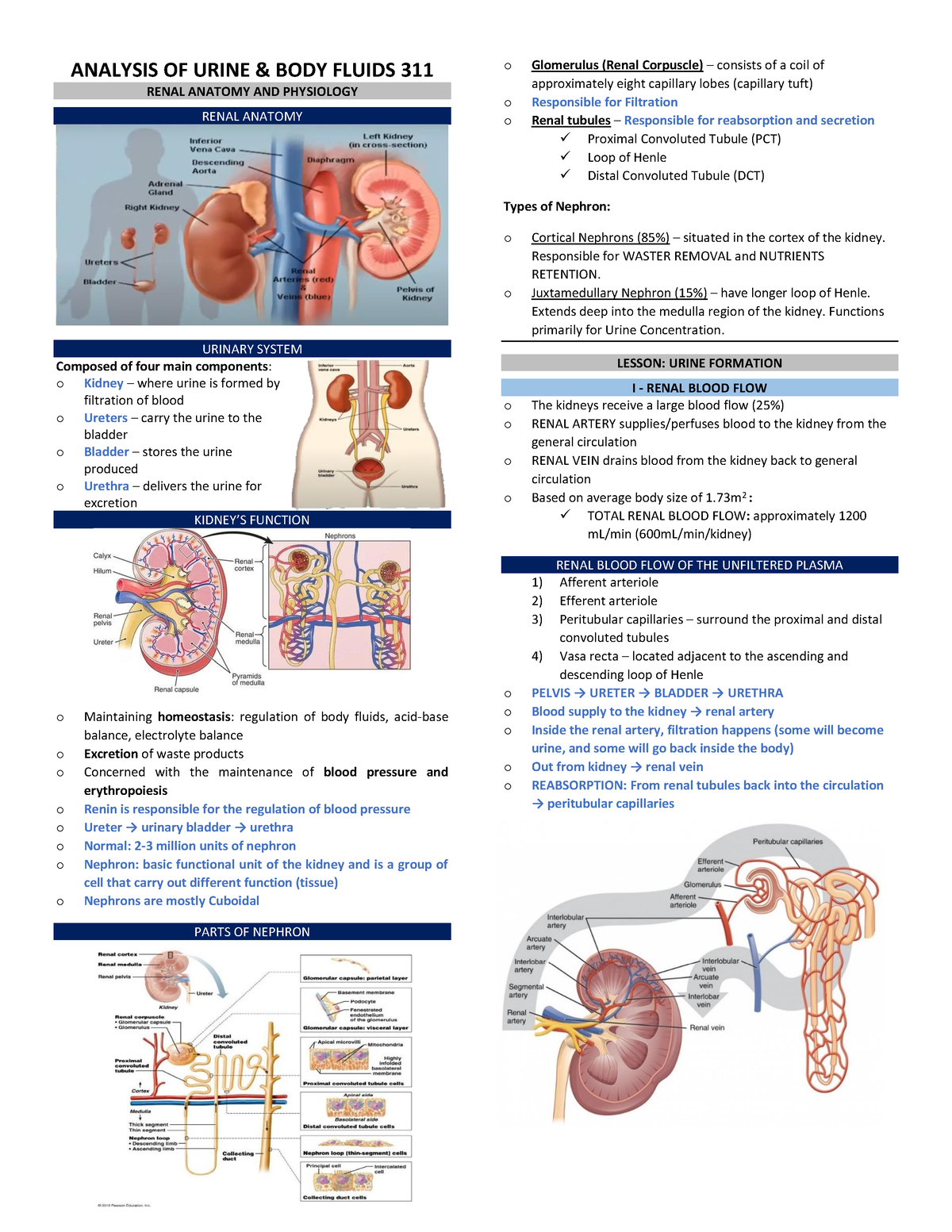 AUBF ( Prelim 0( Lecture) - ANALYSIS OF URINE & BODY FLUIDS 311 RENAL ...