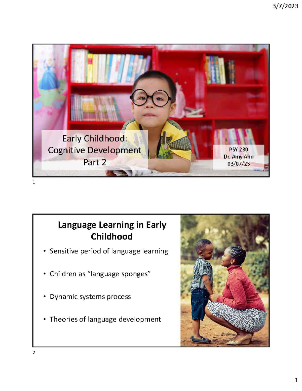 chapter thirteen Early Childhood Cognitive Development Part 2 PSY