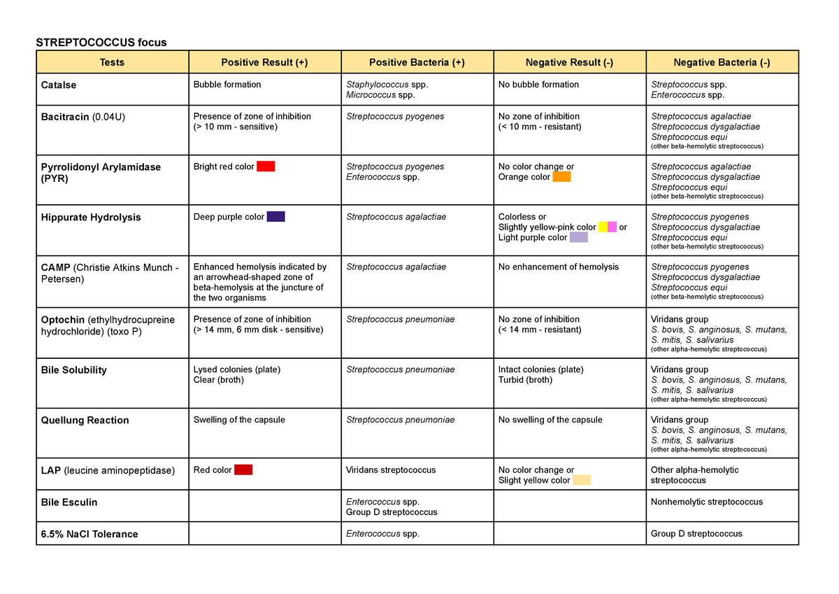 Bacteriology Reviewer - STREPTOCOCCUS focus Tests Positive Result ...