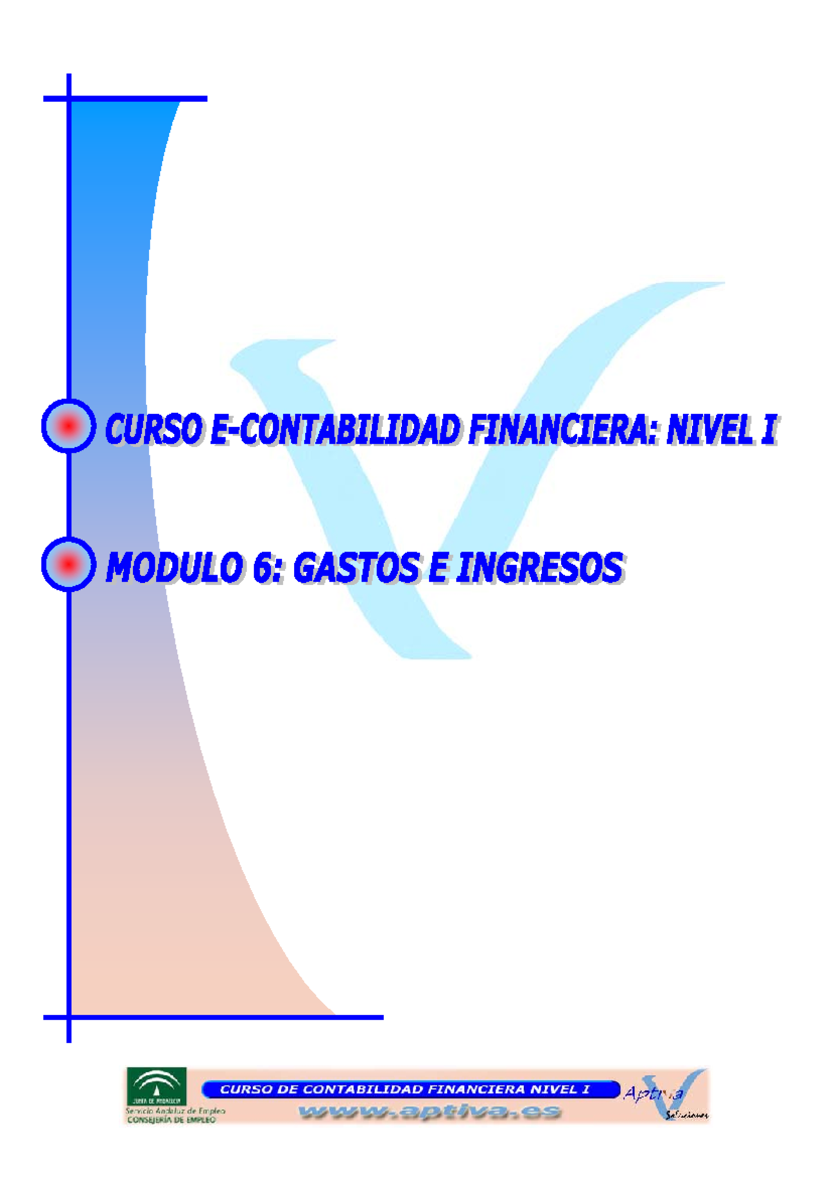 Modulo 6 - Apuntes 5 - E-CONTABILIDAD FINANCIERA: NIVEL I MODULO 6 ...