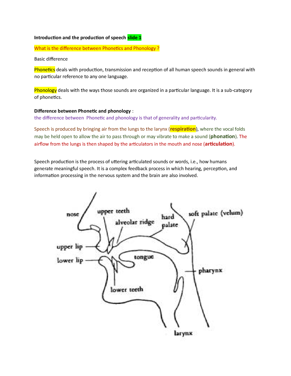 تلخيص سلايد الاصوات (1)⁩ - Introduction and the production of speech ...