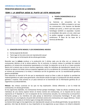 Problemas De Genetica - PROBLEMAS DE GENÉTICA: PRIMERA Y SEGUNDA LEYES ...