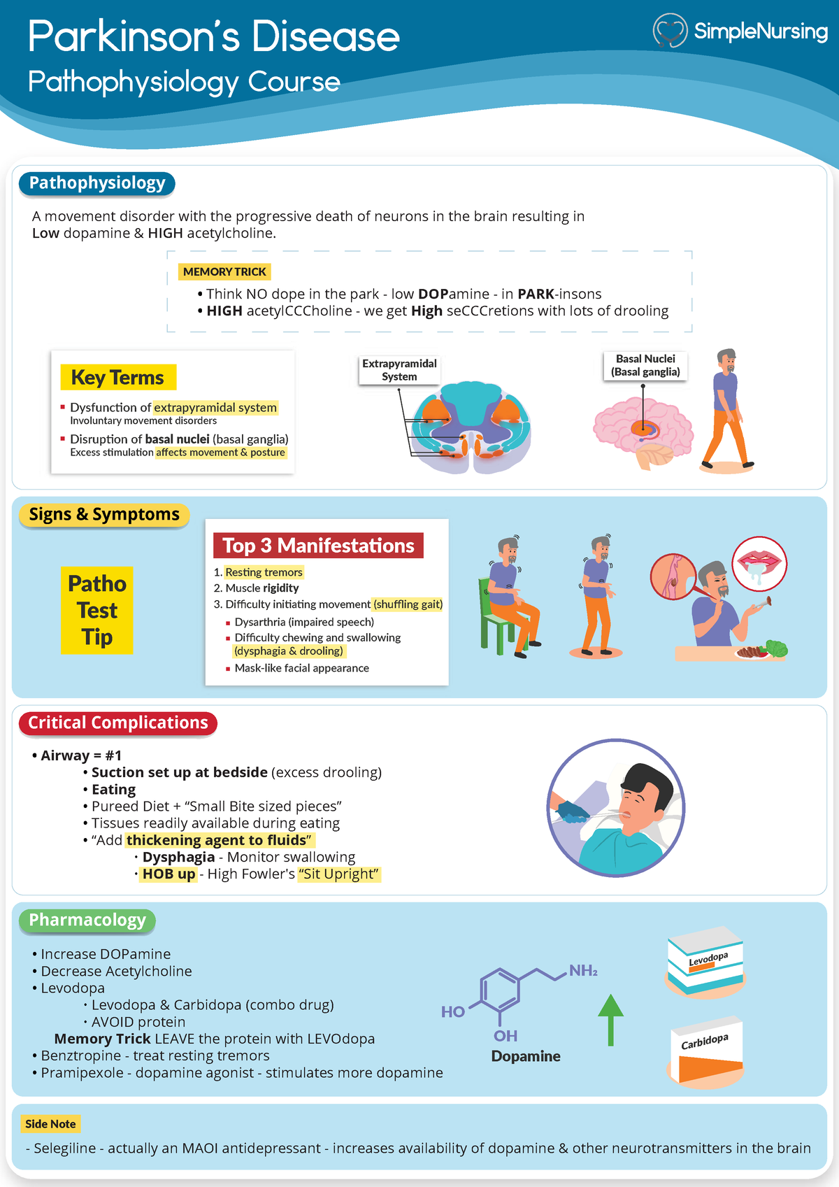 13 . Parkinsons Disease - Parkinson’s Disease Pathophysiology Course A ...