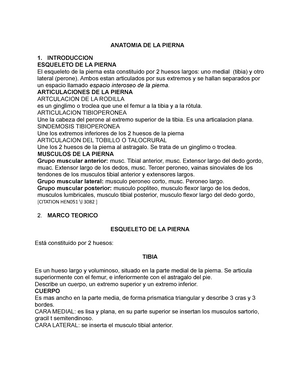 600 (piernas) sistema circulatorio humano venas arterias circulación  sanguínea - Farmacosalud