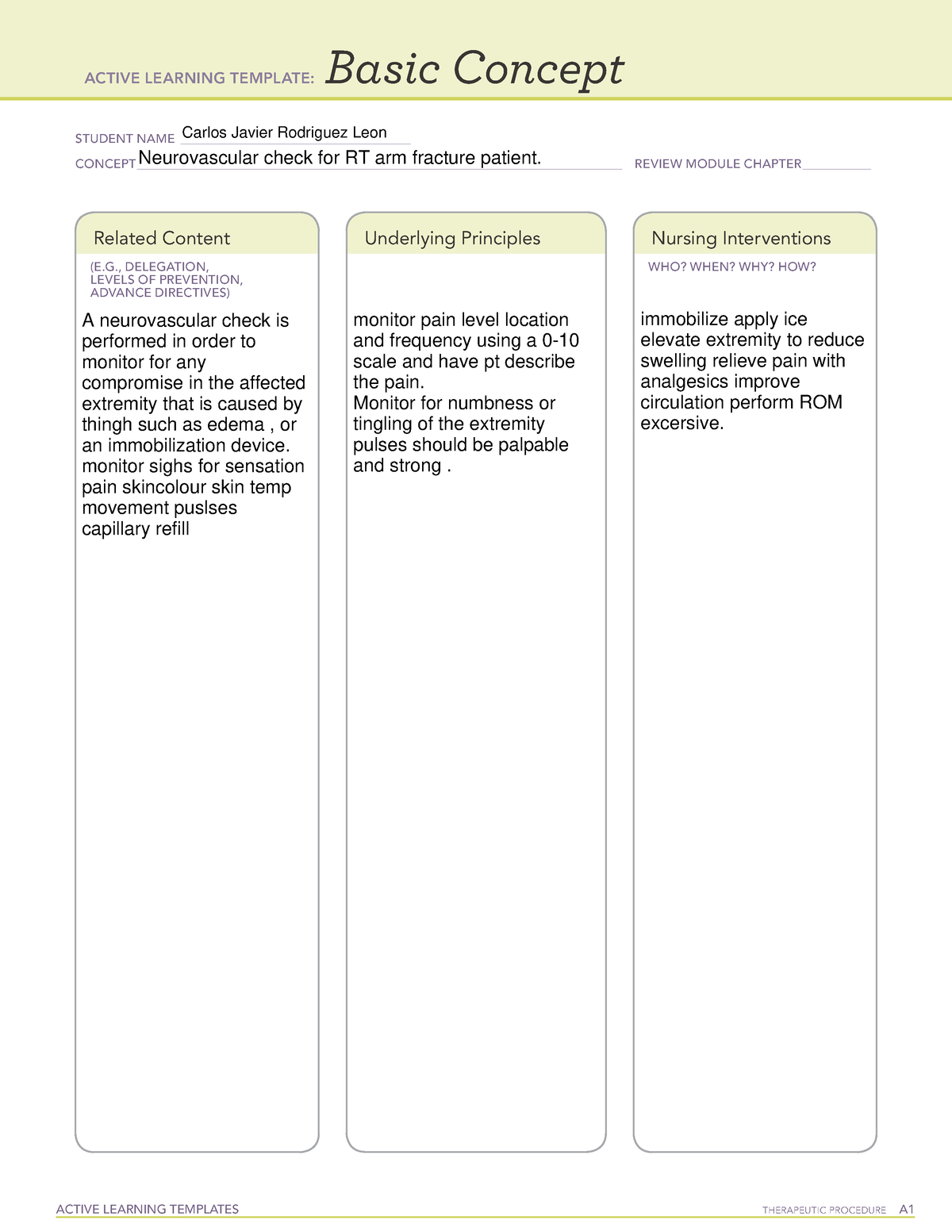 Template 4 - Required Assignments for the course. - MSN6010L - ACTIVE ...