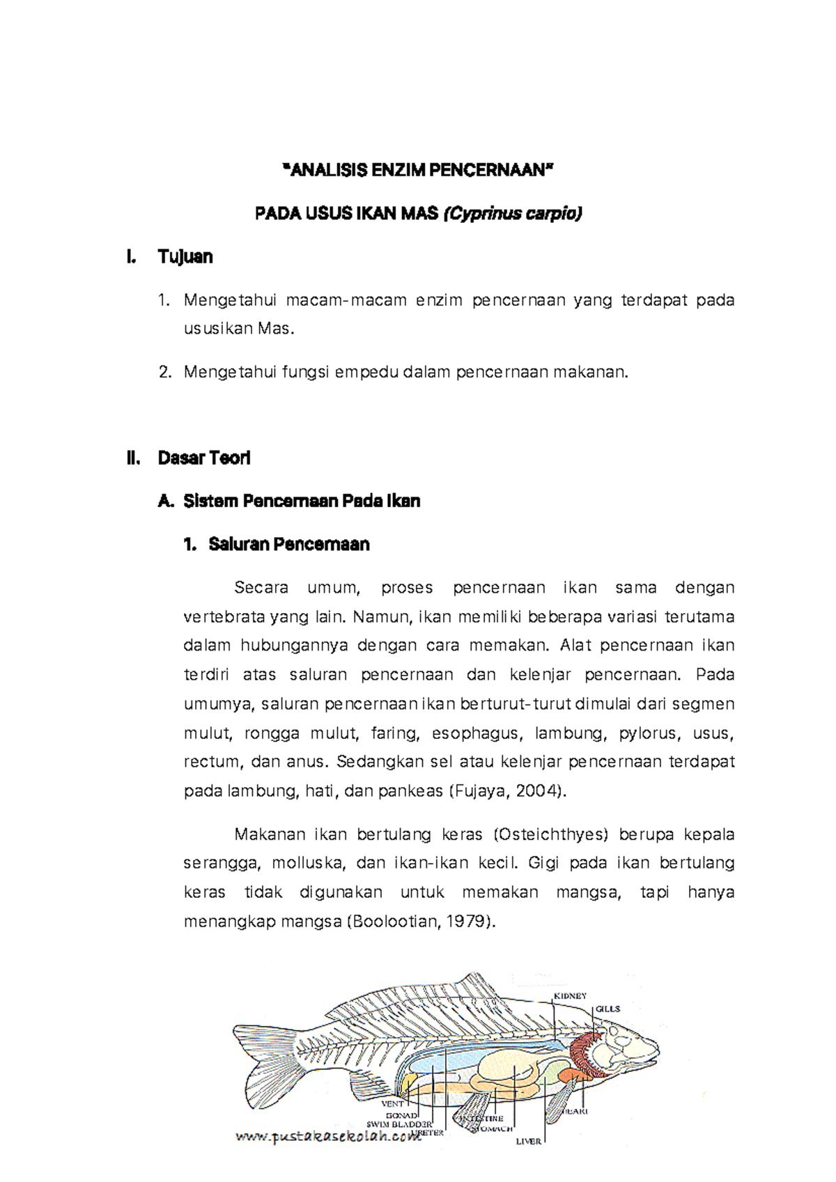 Analisis enzim pencernaan pada usus ikan mas cyprinus carpio ...