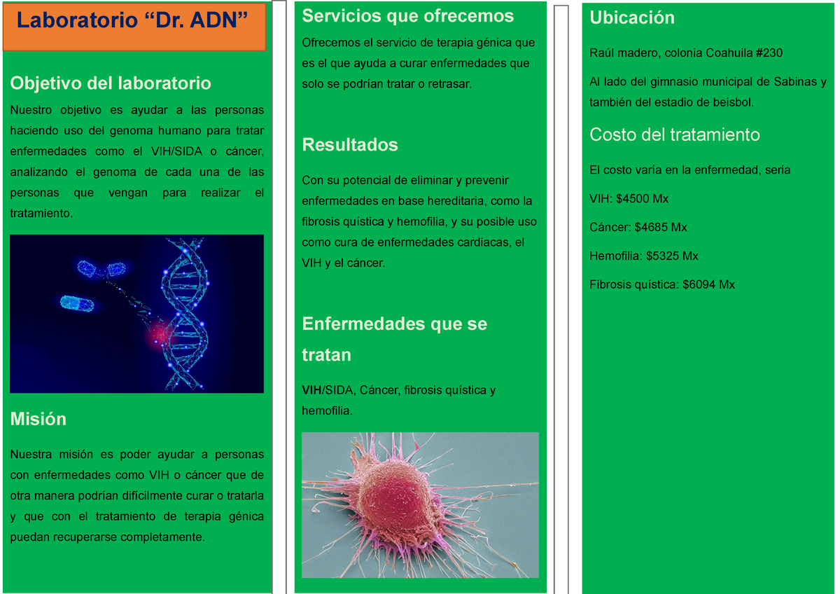 Doc Triptico De Biologia Ii Dany Olg Academia Edu 6046