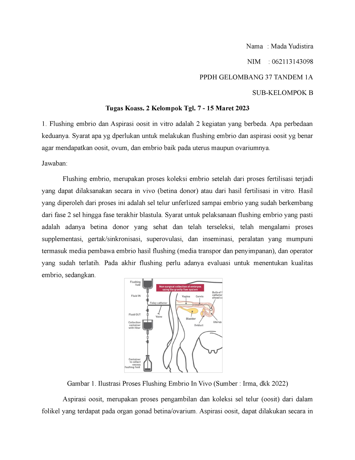 Mada Yudistira 062113143098 Tugas Flushing Embrio dan Aspirasi Oosit ...