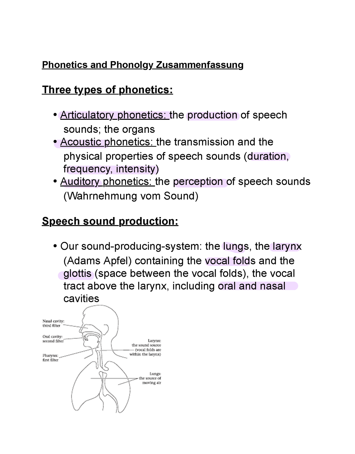 phonetics-and-phonolgy-zsmfassung-phonetics-and-phonolgy