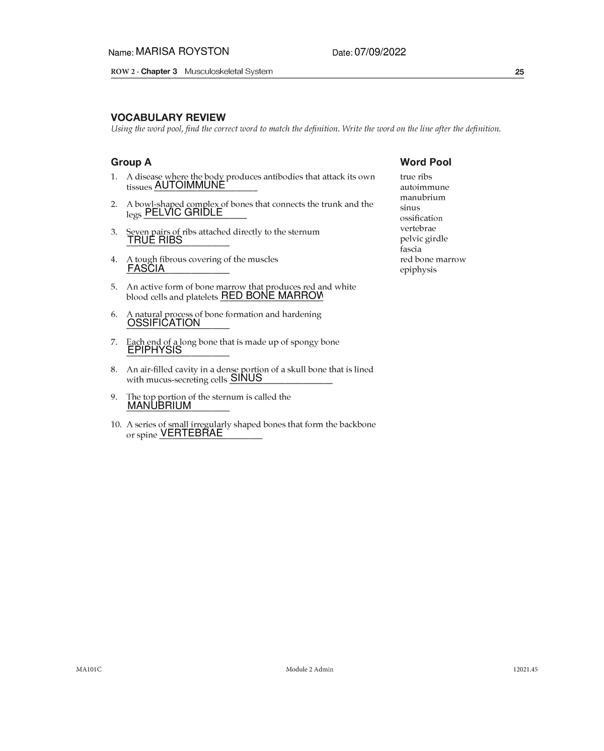 Finished MA101B ROW 2 Chapter 3 - ROW 2 - Chapter 3 Musculoskeletal ...