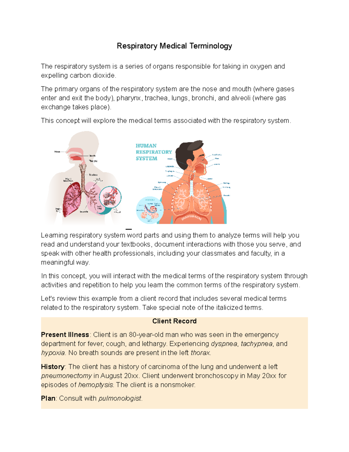 Respiratory Medical Terminology - The Primary Organs Of The Respiratory ...