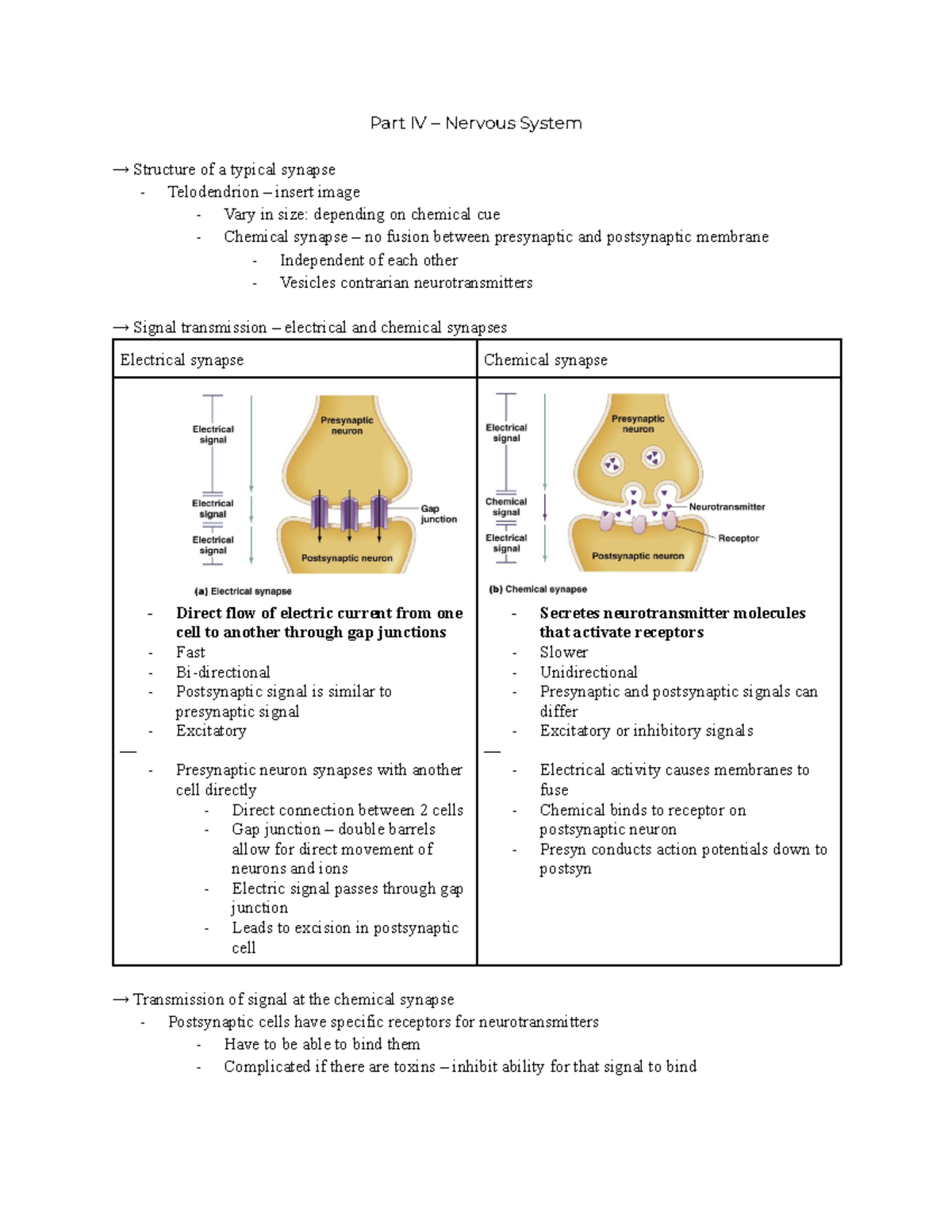 Bio2A03 Nervous System, Part IV - Part IV – Nervous System → Structure ...