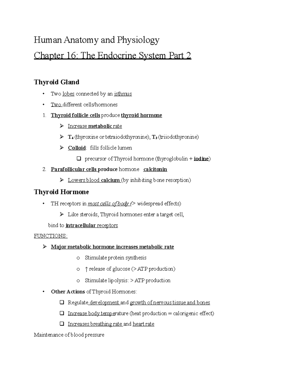 Human Anatomy And Physiology Chapter 16 Part 2 - Human Anatomy And ...