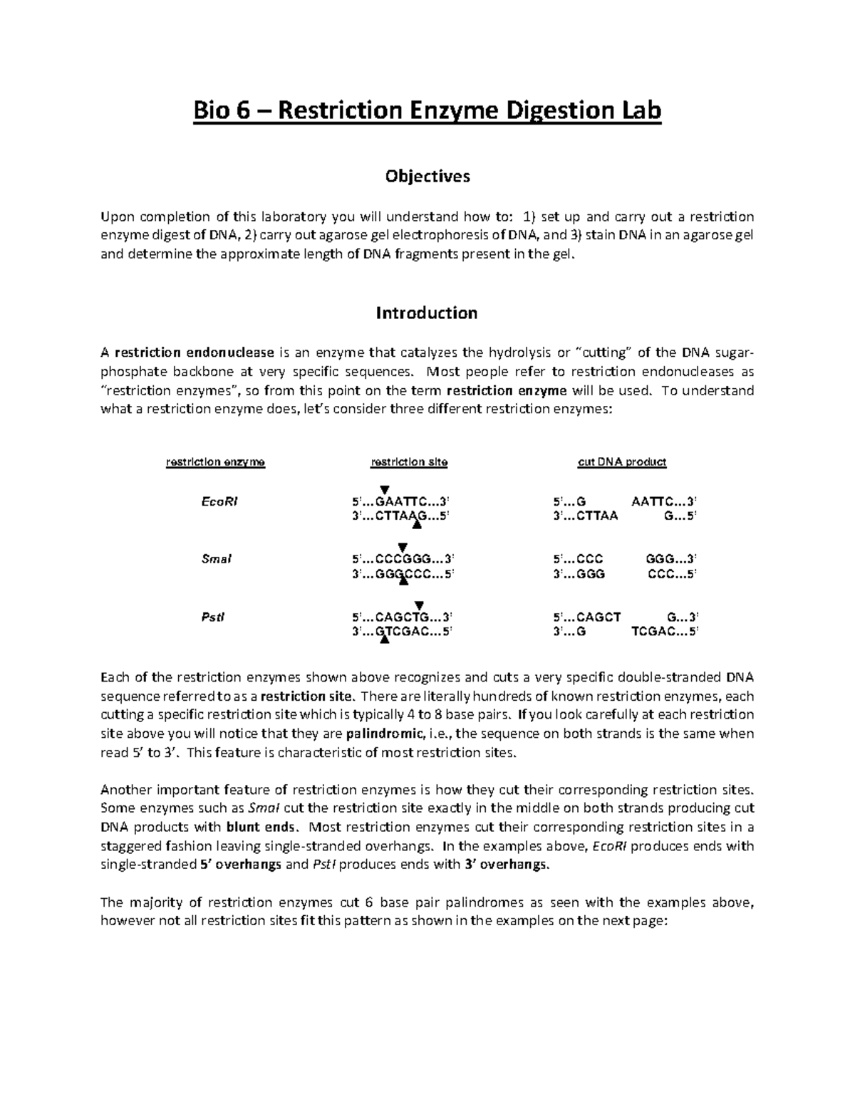 09Bio6 Restriction Enzyme Digestion of DNA 6e Bio 6 Restriction