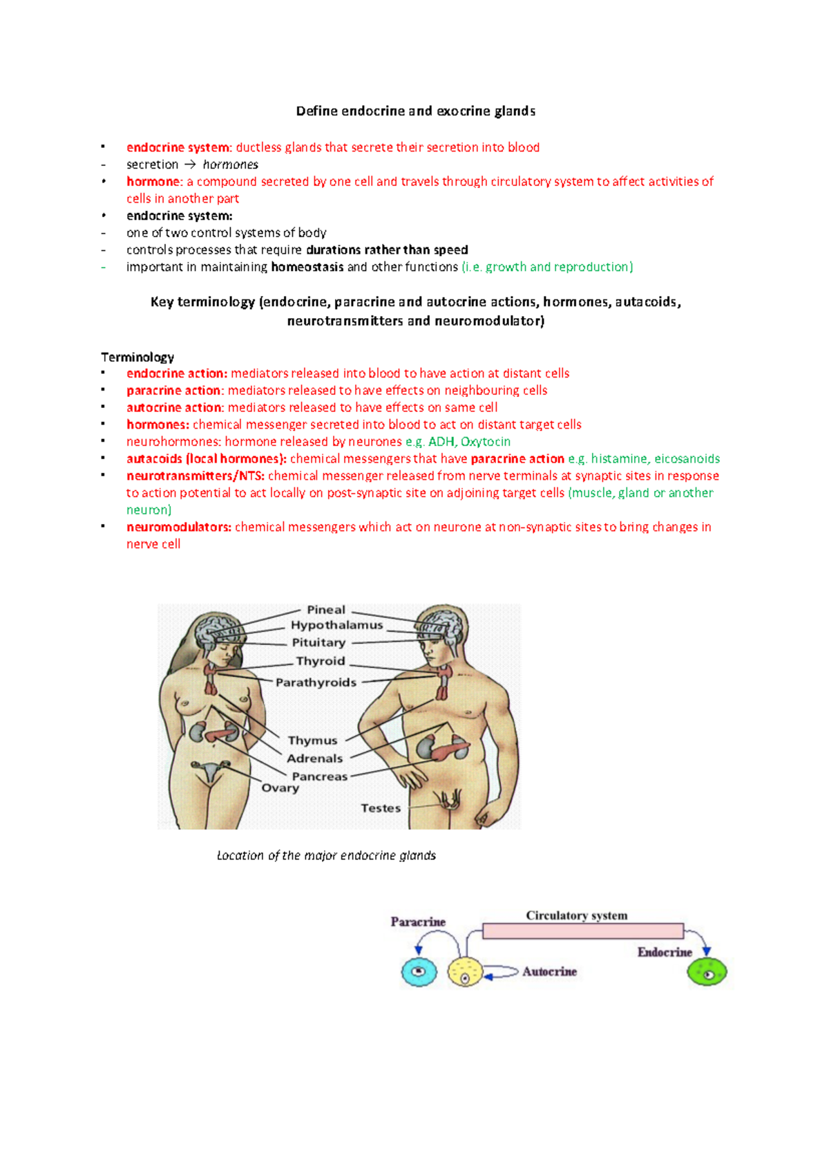 1. introduction to endocrinology Define endocrine and exocrine glands
