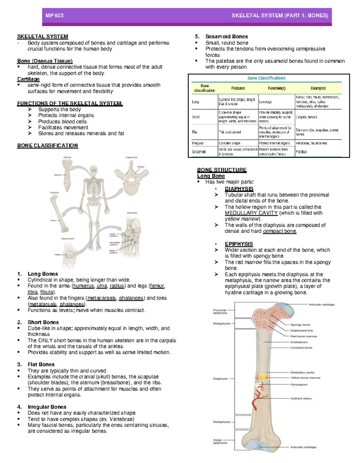 MP603 - Skeletal System (Part 1 - Bones) - SKELETAL SYSTEM Body system ...