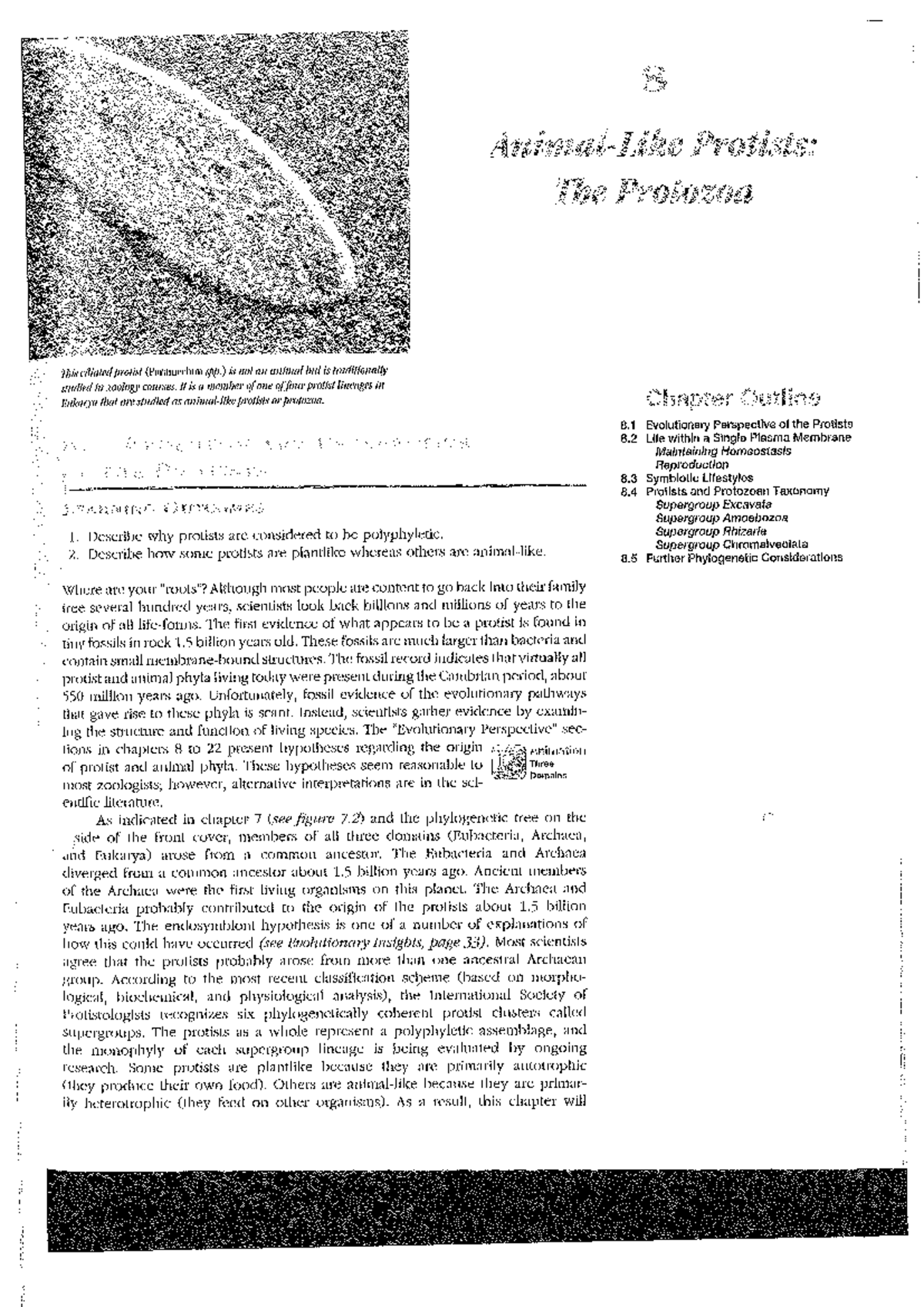 20240701082053744 0003 - Protists: The Protozoa This ciliated prolist ...