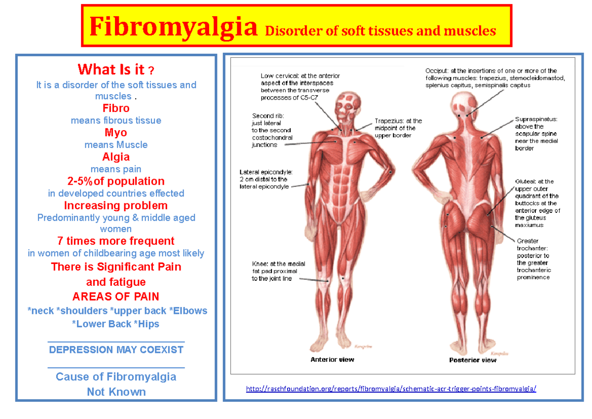 Fibromyalgia brochure 15 April 2019 Graham Healy - Fibromyalgia ...