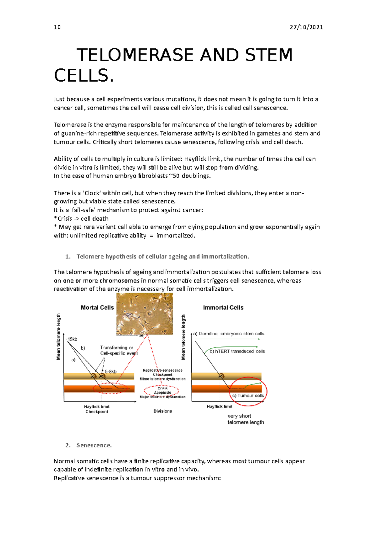 Telomerase and stem cells - TELOMERASE AND STEM CELLS. Just because a ...