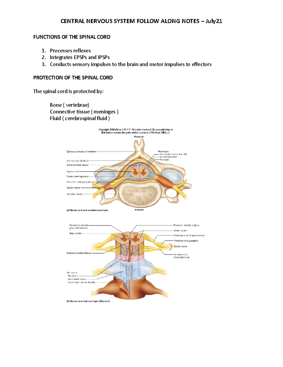 Fan notes chapter 13 - FUNCTIONS OF THE SPINAL CORD 1. Processes ...