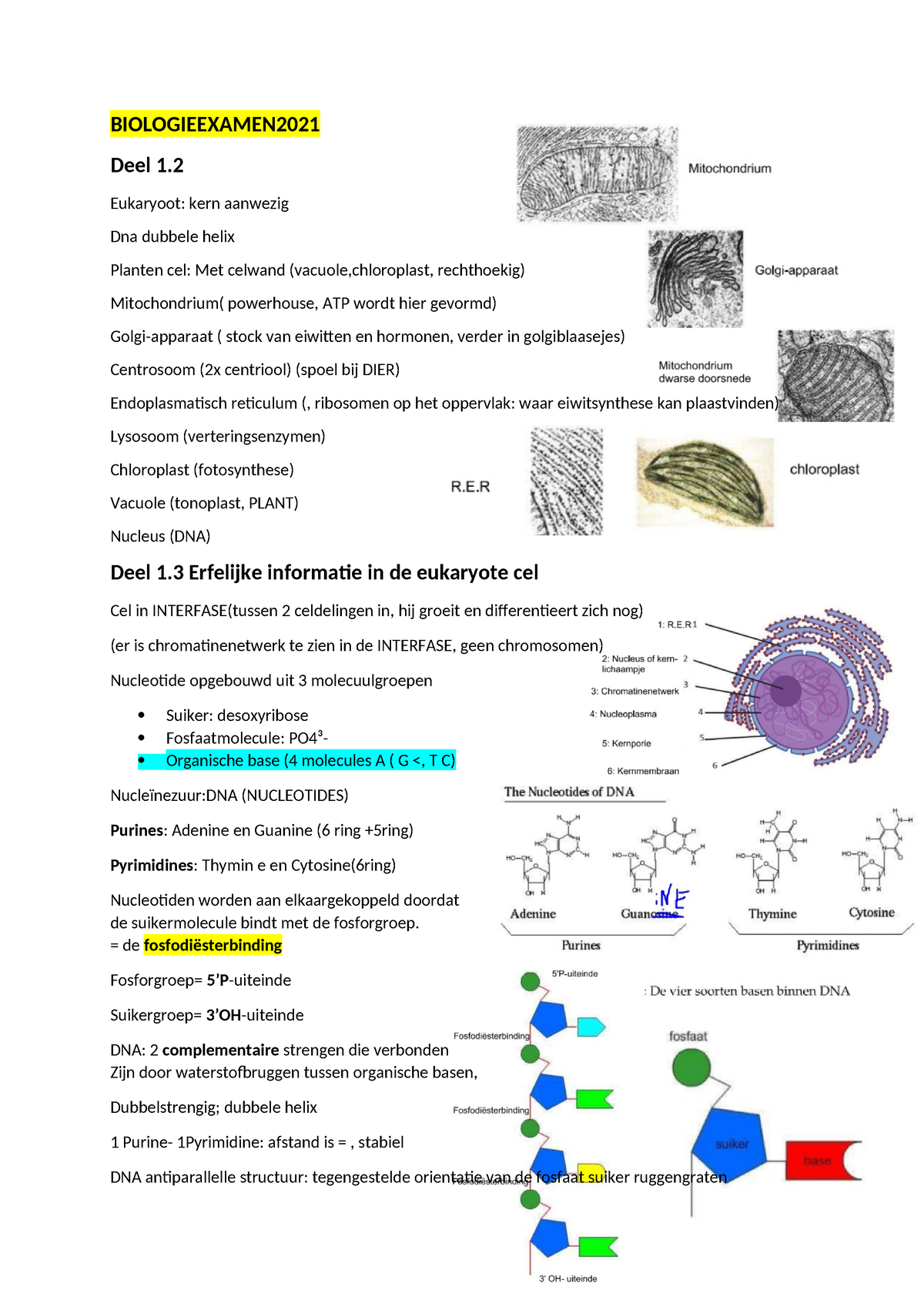 Examenbiologie 2021 - Samenvatting Biologiecursus Algemene Biologie ...