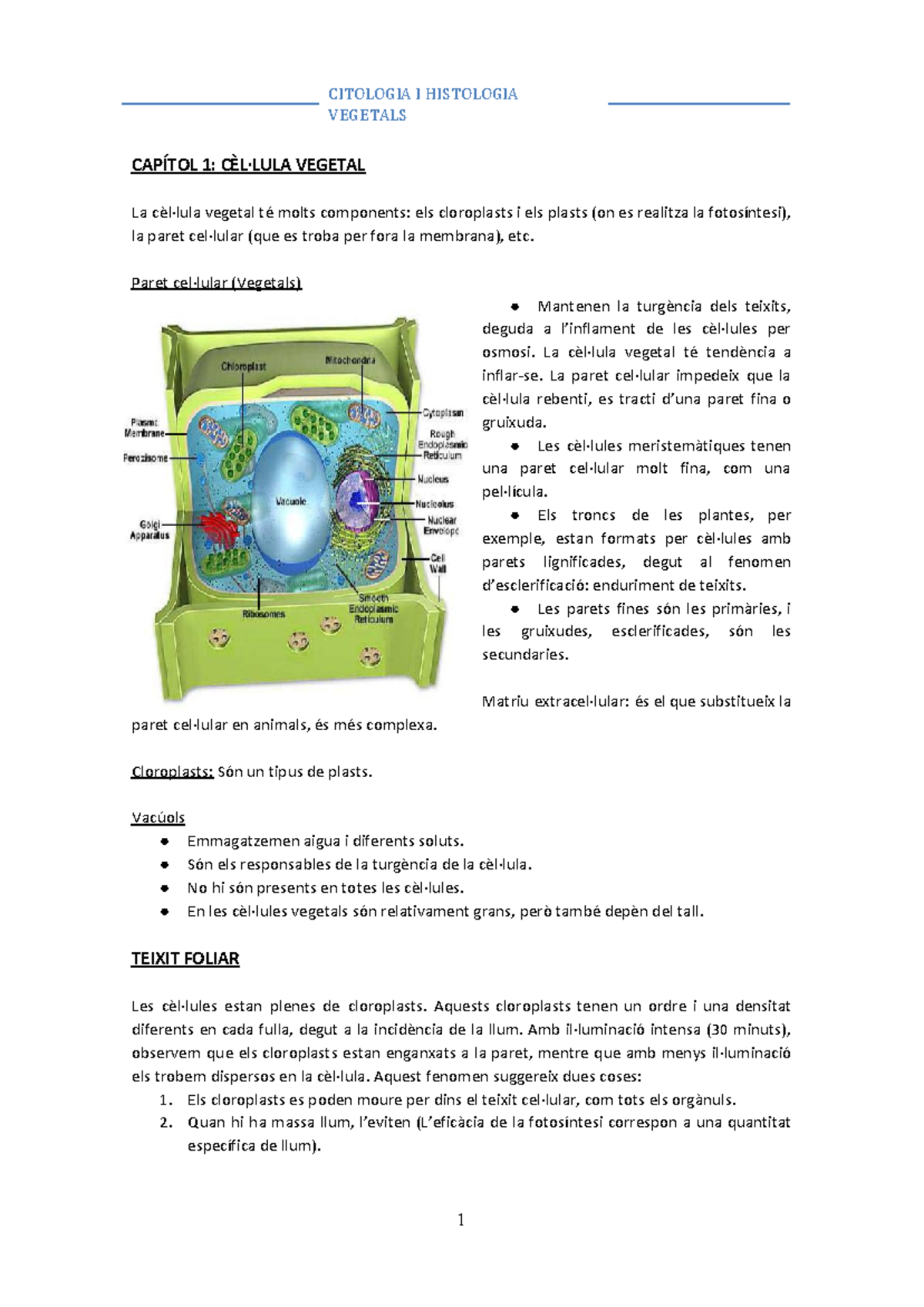 Histologia Vegetal 2 Vegetals CapÍtol 1 CÈl·lula Vegetal La Cèl·lula