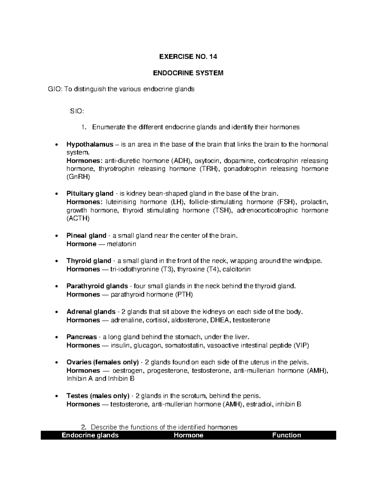 Anatomy visual data 4