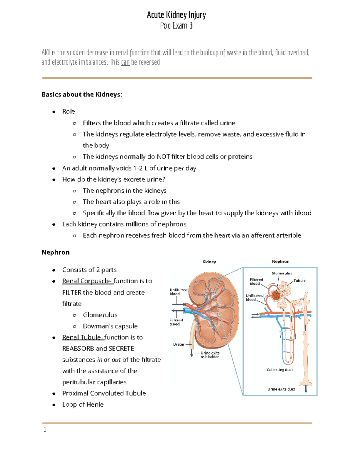 AKI - Notes from Med Surg nursing reviewing Acute Kidney Injury - Acute ...