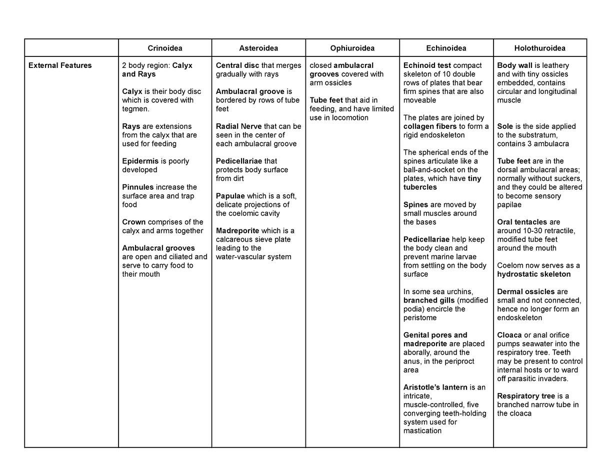 Table For Phylum Echinodermata - Crinoidea Asteroidea Ophiuroidea 