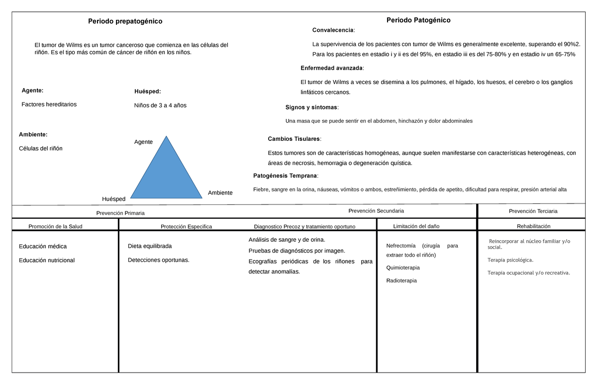 Hnde Cass Vbkdbd Periodo Prepatogénico El Tumor De Wilms Es Un