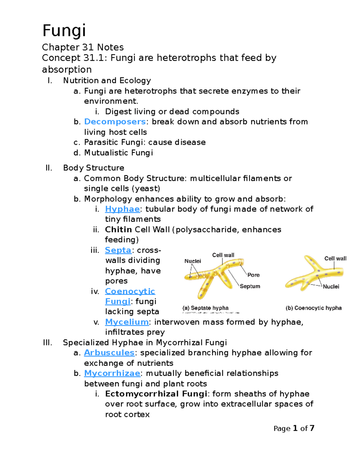 chapter-31-notes-chapter-31-notes-concept-31-fungi-are-heterotrophs