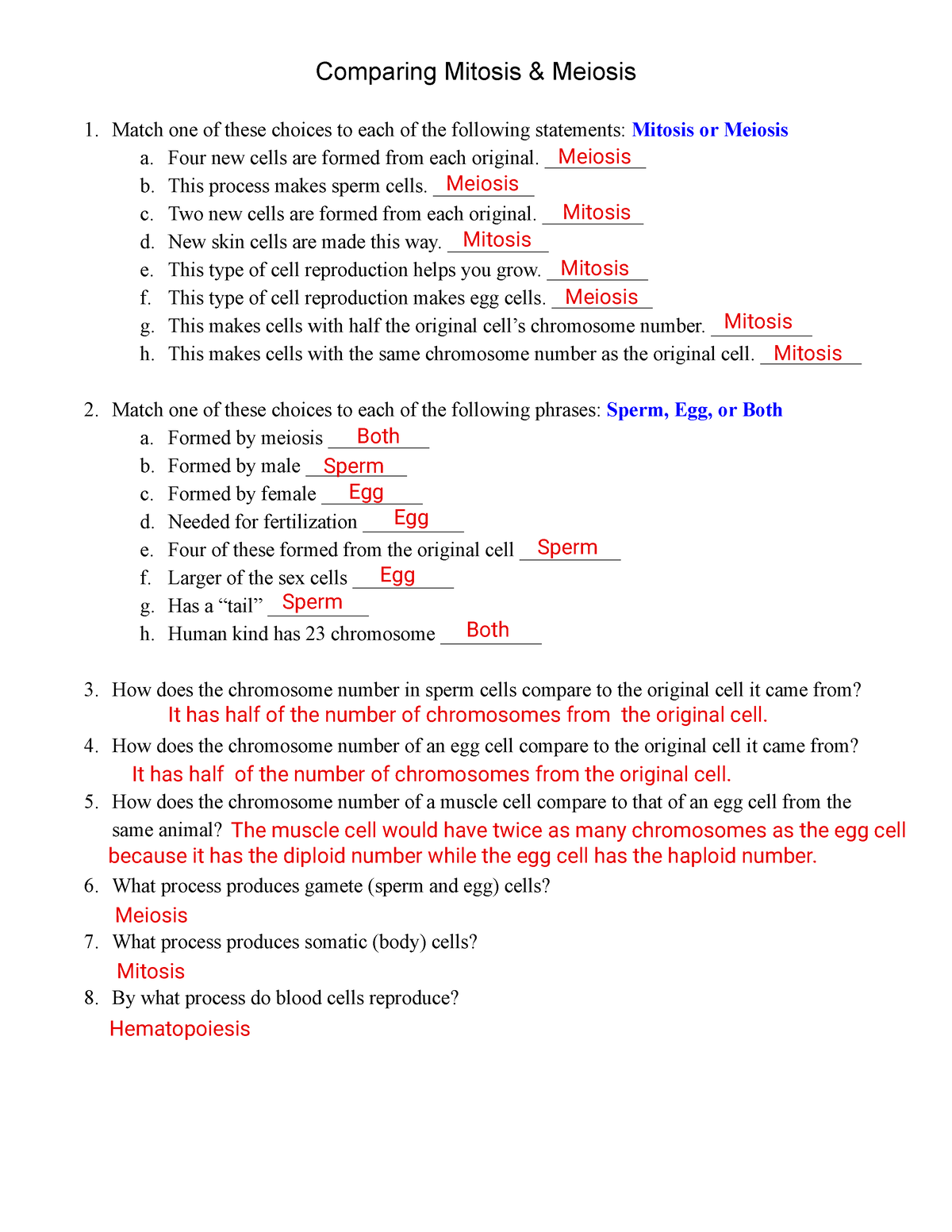 Comparing Mitosis & Meiosis WS - Comparing Mitosis & Meiosis 1. Match ...