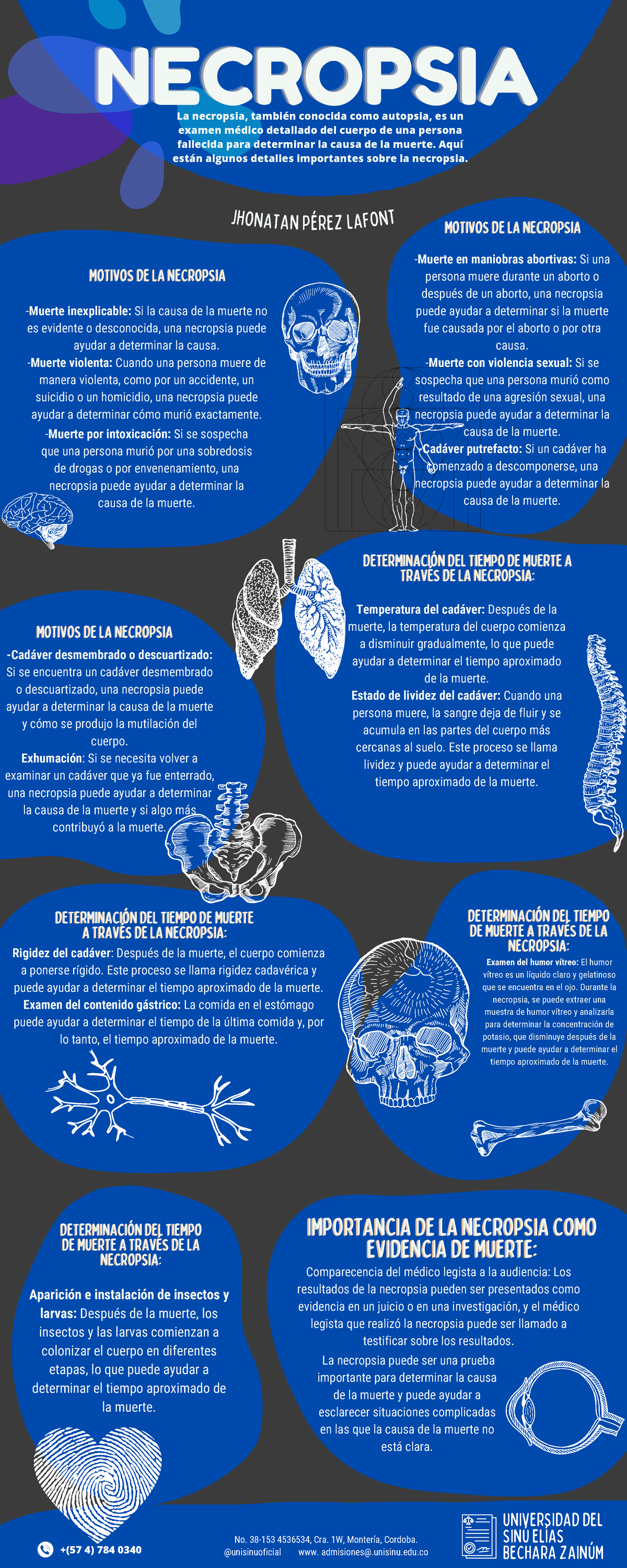 Infografia Necropsia - NECROPSIANECROPSIANECROPSIA IMPORTANCIA DE LA ...