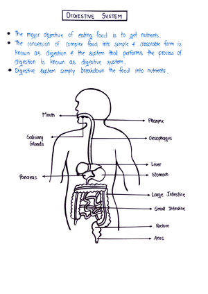 UNIT 2 HAP ( Imperfect Pharmacy ) - B. Pharmacy - Studocu