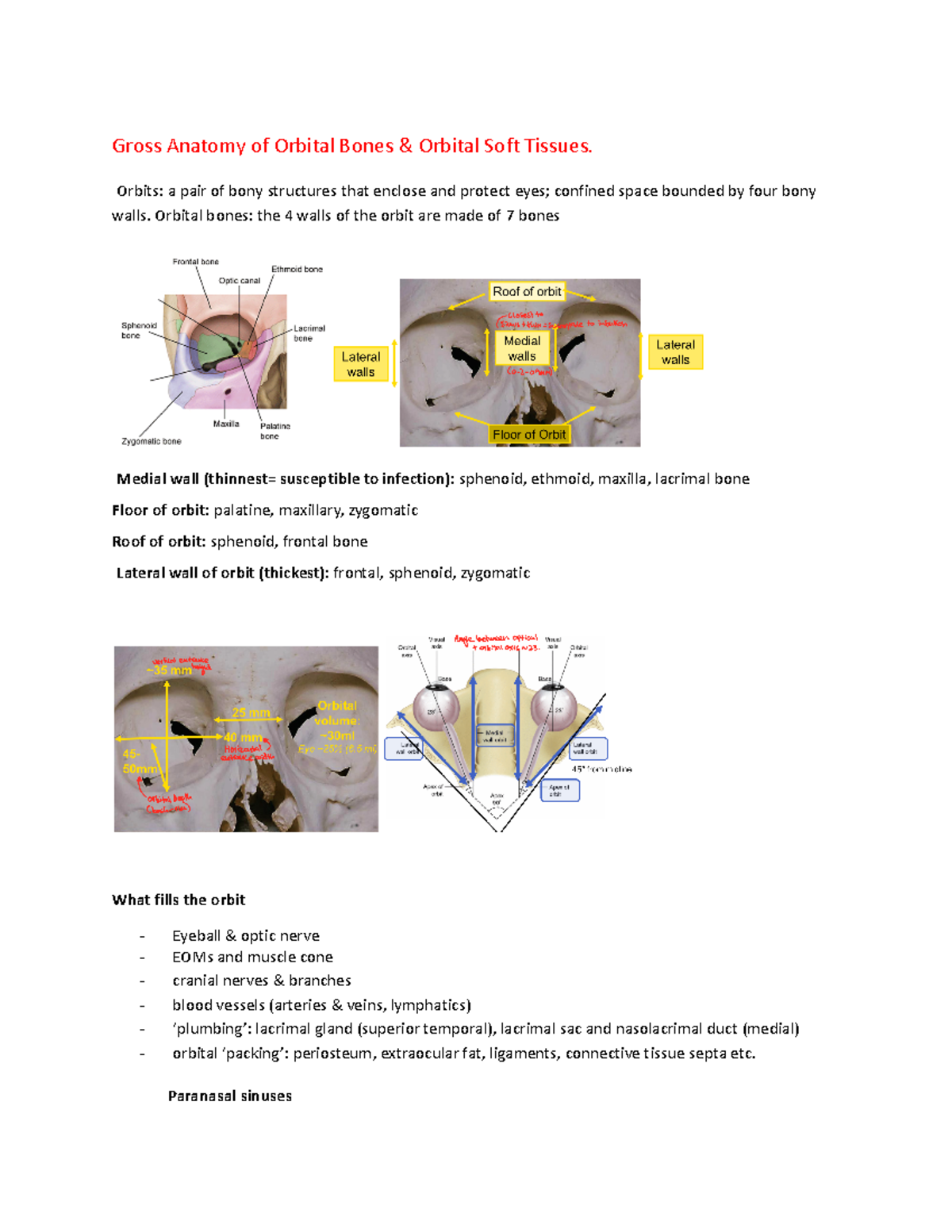 Ocular anatomy final - Gross Anatomy of Orbital Bones & Orbital Soft ...