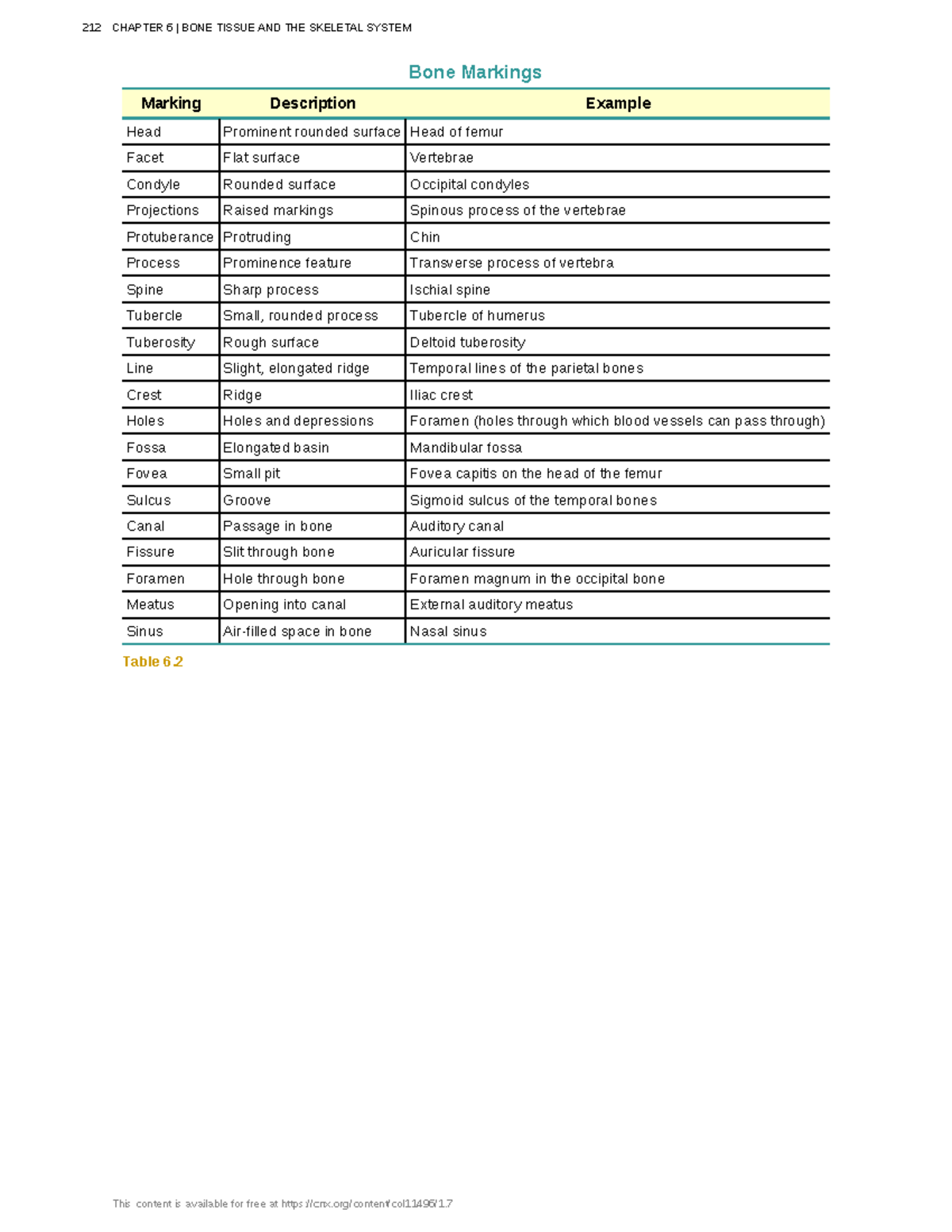 Anatomy-physiology-74 - Bone Markings Marking Description Example Head ...