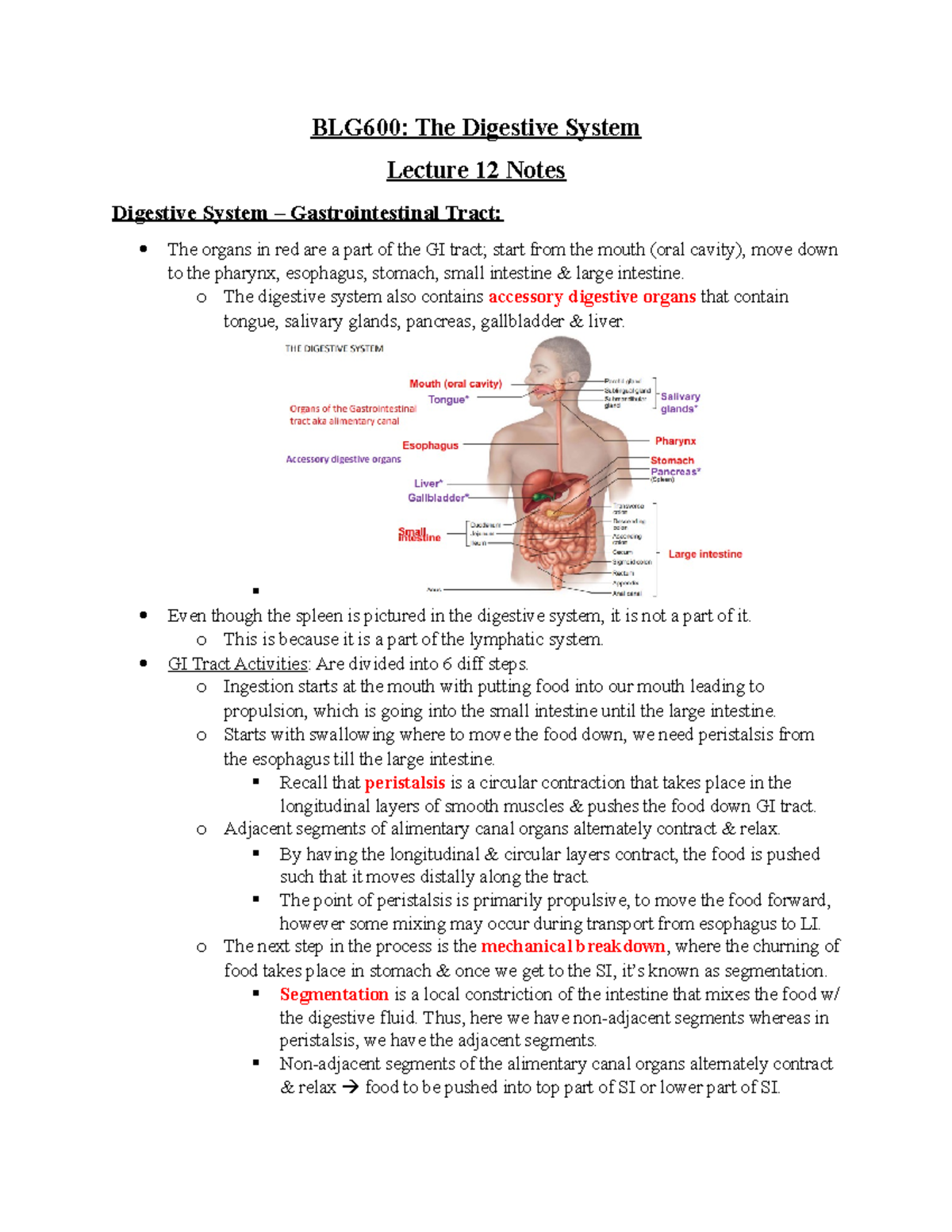 Lecture 12 Notes - Crestina Bietes - BLG600: The Digestive System ...
