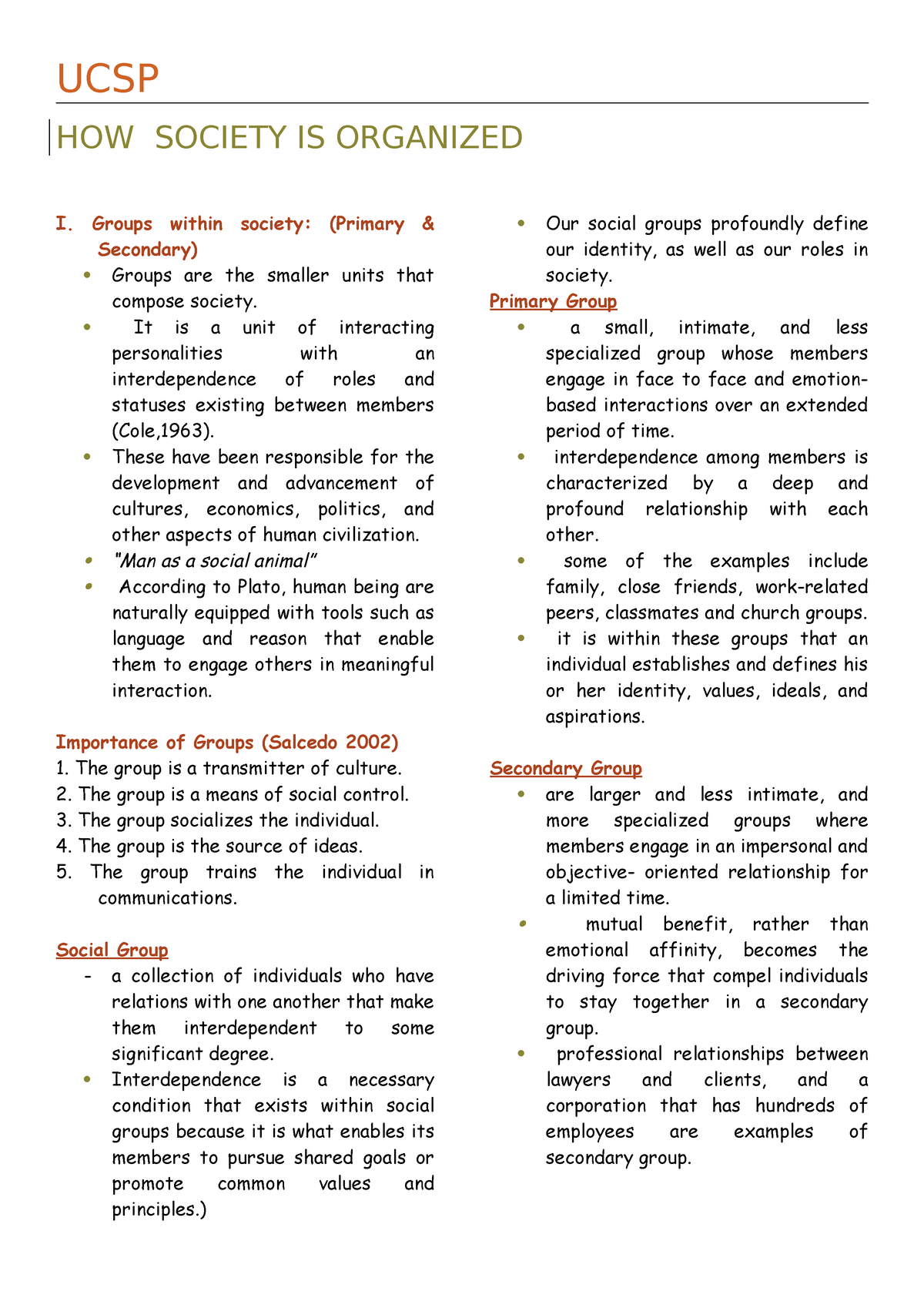 how society is organized essay