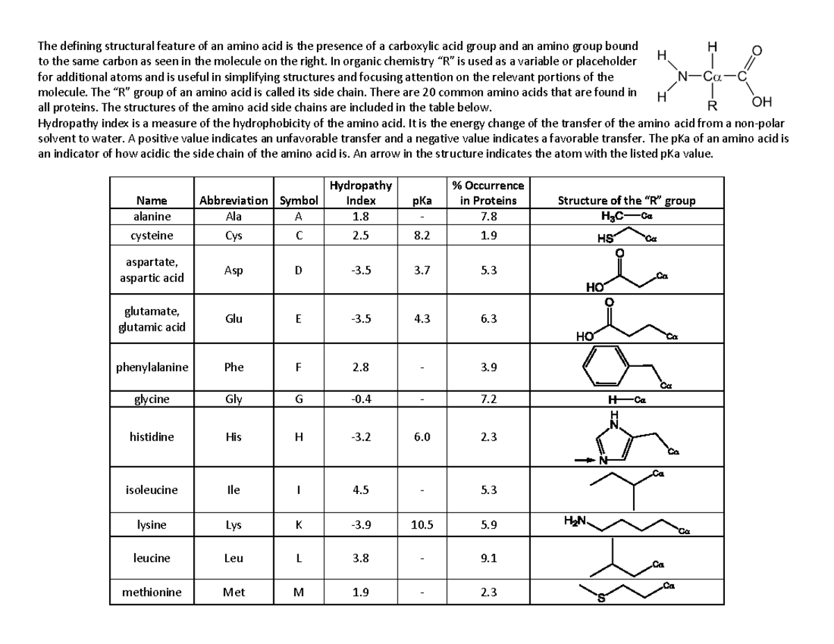 Handout-Table of amino acids - The defining structural feature of an ...