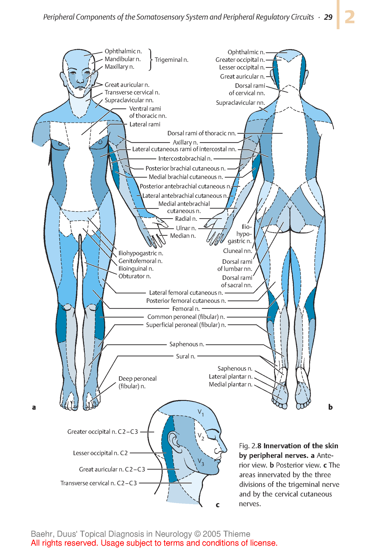 Duus Topical Diagnosis in Neurology-1-200-15 - 292 Ophthalmic n ...