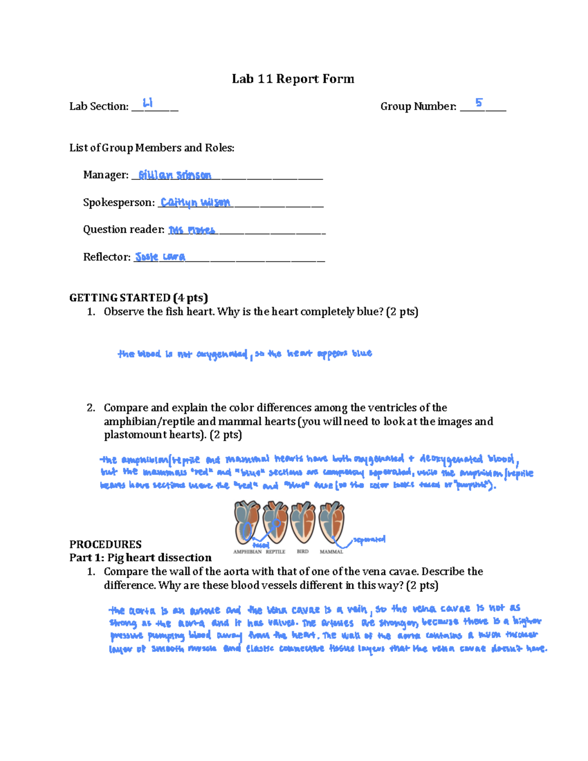 Lab 11 Report Summary - => ¼¼ ALKNP KNI => A?PEKJ NKQL QI>AN EOP KB ...