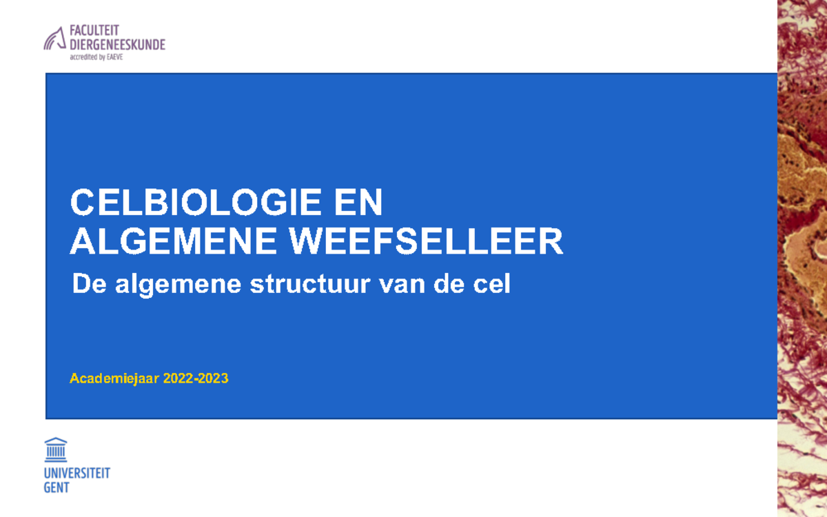 Cbawl Algemene Structuur Van De Cel 2223 - CELBIOLOGIE EN ALGEMENE ...