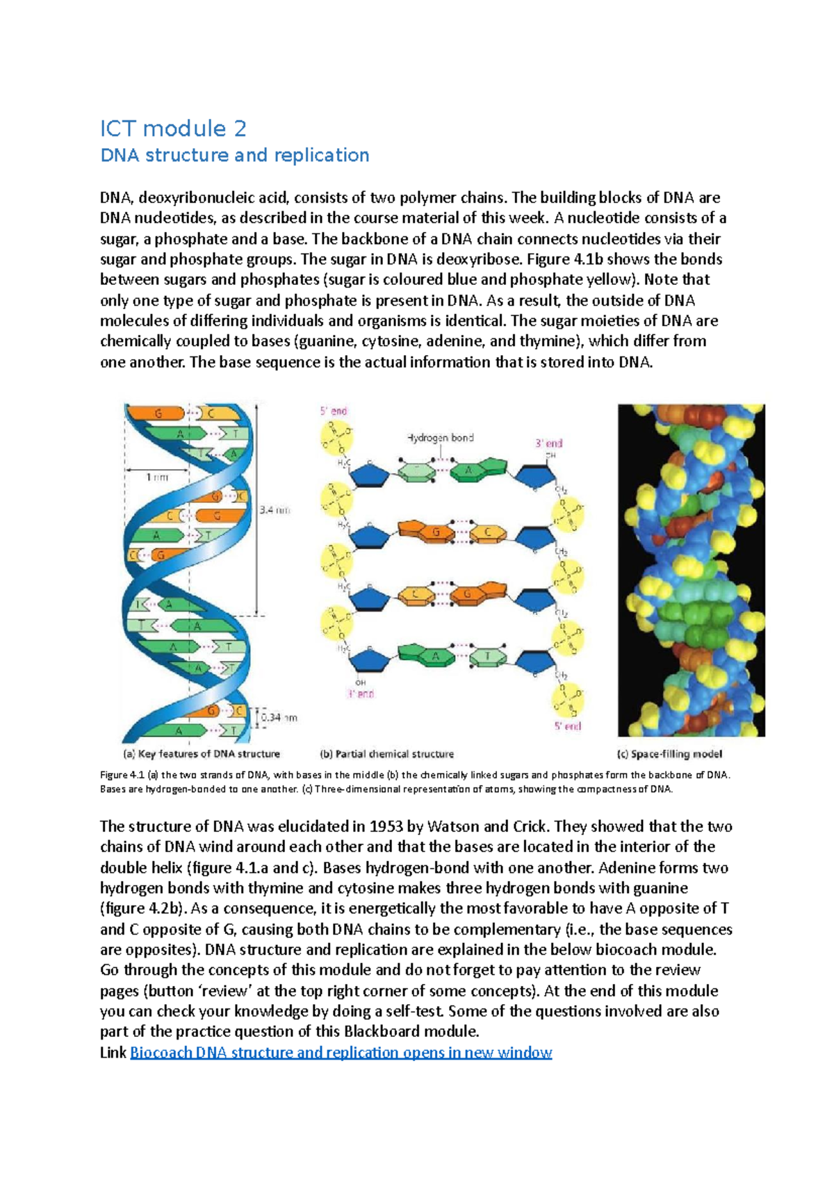 ICT module 2 The building blocks of DNA are DNA nucleoides, as