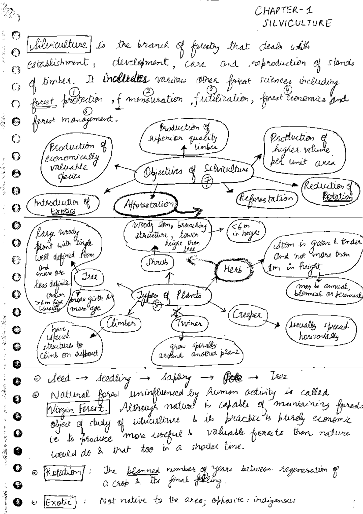 Forestry - Summary Reproductive biology of forest trees - Studocu