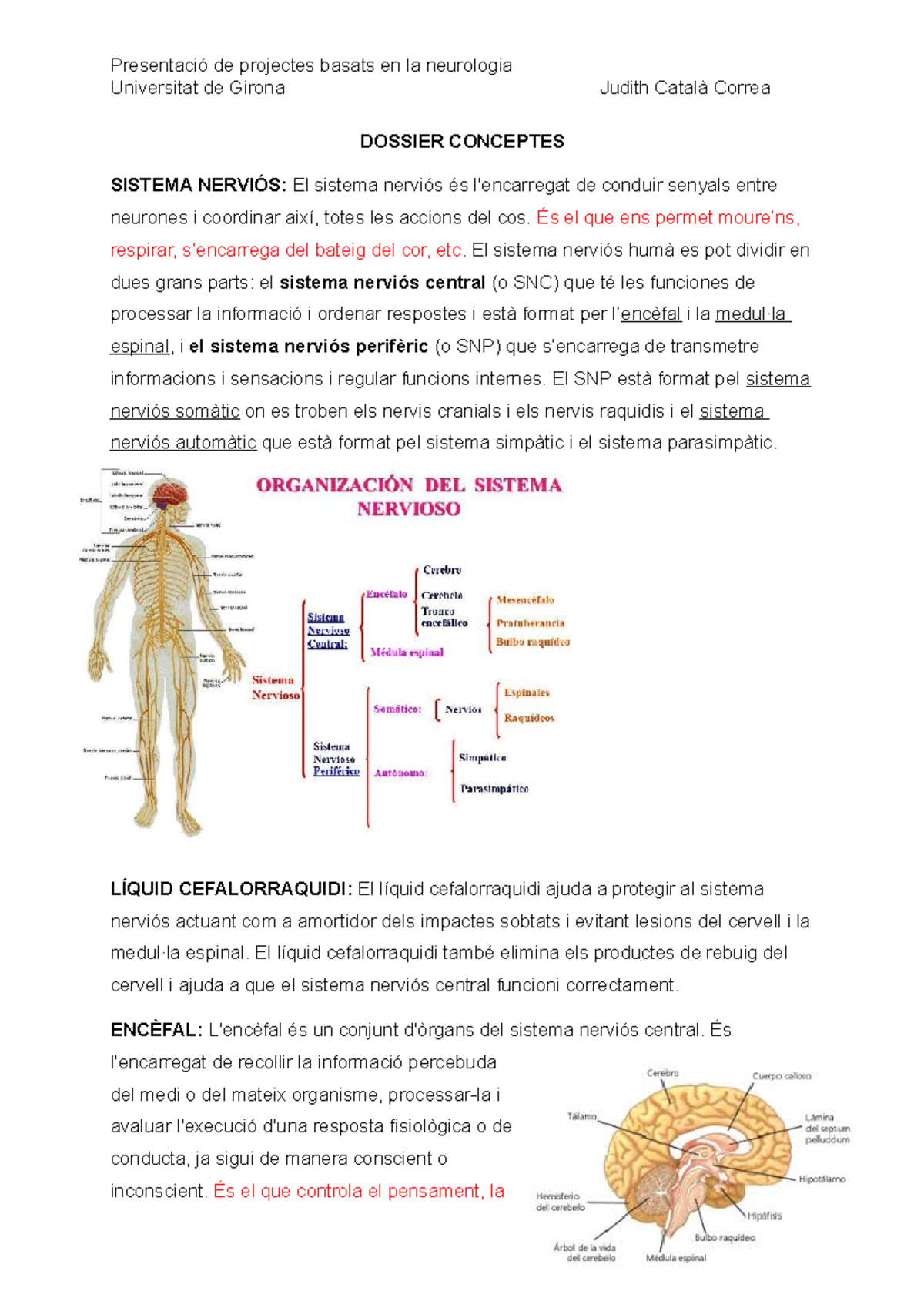 Dossier Conceptes - Neurología 4rt Pedagogia - Universitat De Girona ...