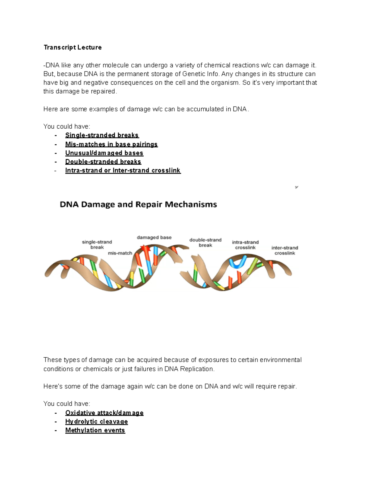 DNA Damage and Repair Cell Mol Bio Lecture - Transcript Lecture -DNA ...