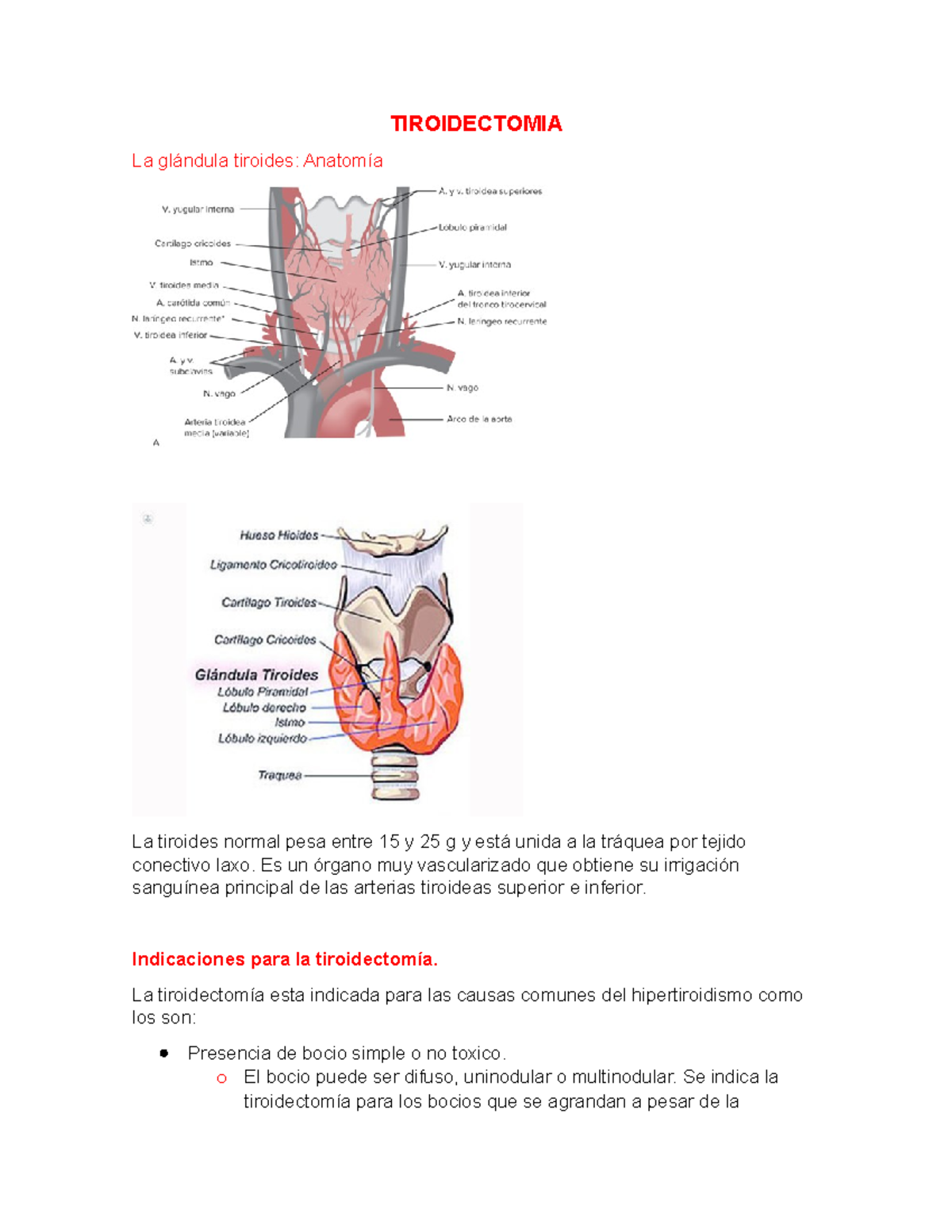 Tiroidectomia - ninguna - TIROIDECTOMIA La glándula tiroides: Anatomía ...